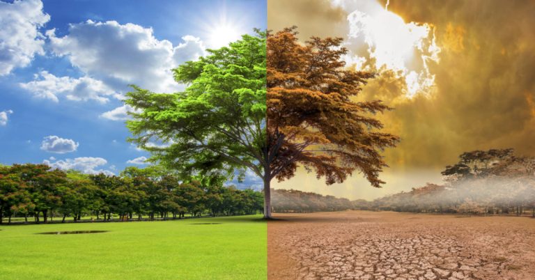 Humanity Almost Certainly Doomed, Scientists Say - Featured image