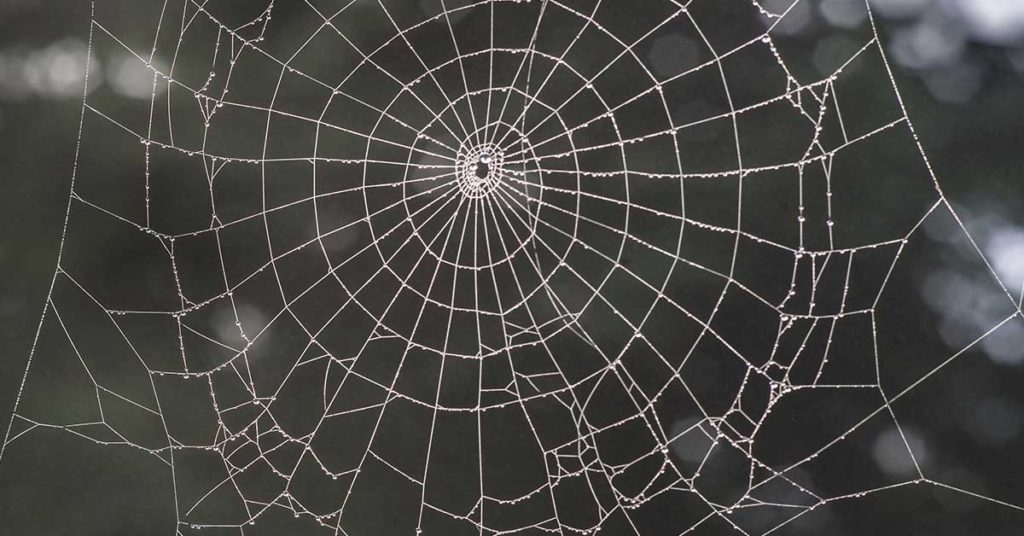 5 Signs of Toxic “Spider-Webbing” in a Relationship - Featured image