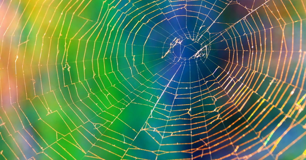 SPIDER WEBBING ON SKIN visual data 3