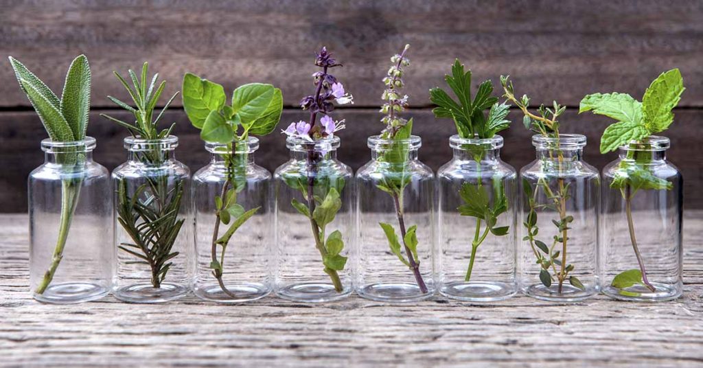 7 Best Essential Oils for Relaxation - Featured image