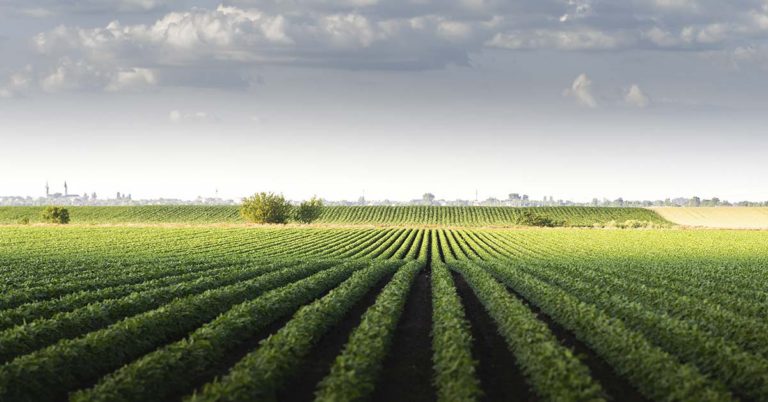 Bill Gates Isn’t a Farmer, So Why Is He Buying So Much Farmland? A Famous Native American Leader Calls Him Out. - Featured image