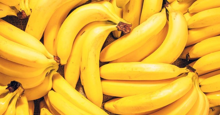 The World’s First GMO Bananas are Approved for Export to the U.S. - Featured image