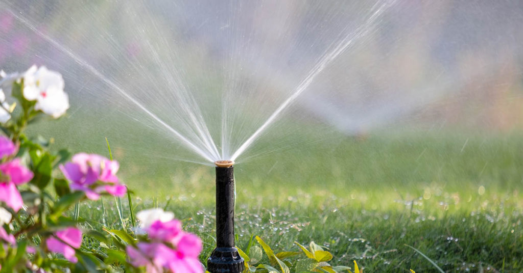 18 Things Most Americans Want Banned - Featured image