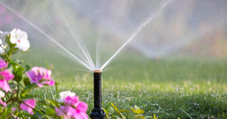 18 Things Most Americans Want Banned - Featured image