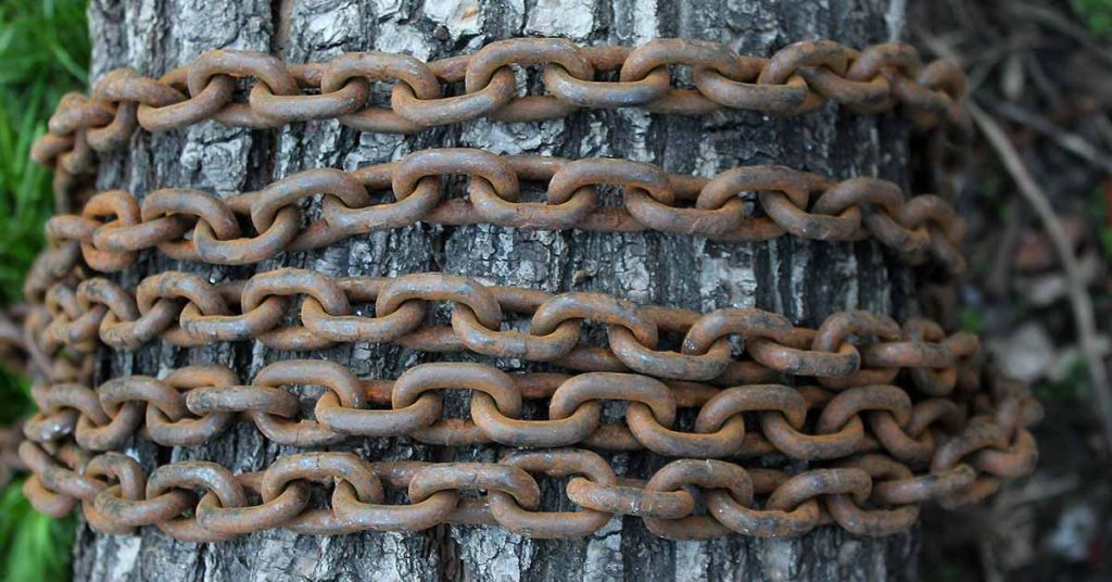 American Woman Found Chained To A Tree And Left to Die With No Food for 40 Days - Featured image