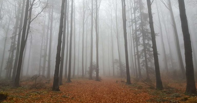 15+ Scary Signs an Evil Presence Is Near - Featured image