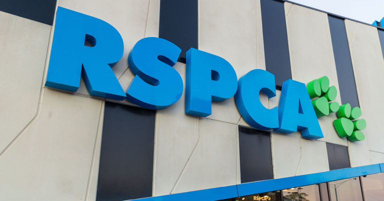 Cardiac Surgeon Reveals Top 4 Foods That ‘Actively Poison’ Your Body - Featured image