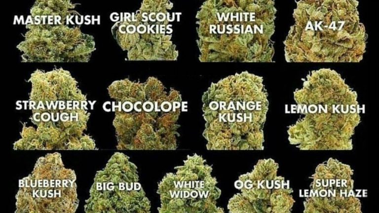 4 Incredible Benefits Of Marijuana For The Skin - Featured image