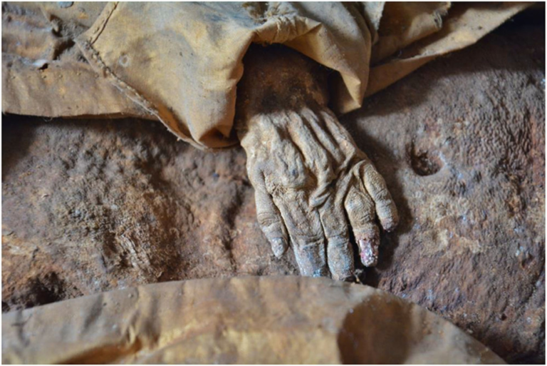 Mummified infant shows how a lack of sunlight can kill - Featured image