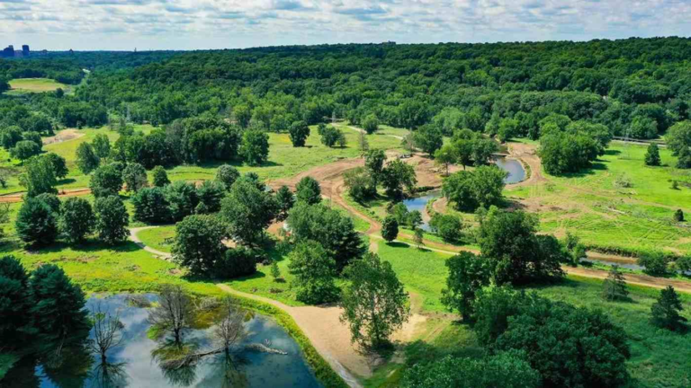 Abandoned Golf Course Being Rewilded into Public Land with Native Fish and Wildlife Returning - Featured image