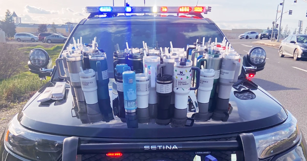 Woman Arrested for Stealing $2,500 Worth of Stanley Cups - Featured image