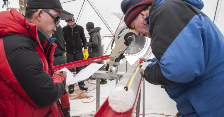 28 Ancient Viruses Found in a Tibetan Glacier Could Unlock Secrets of the Past - Featured image