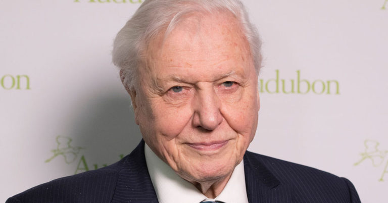 Who Truly Holds the Title of the World’s Most Beloved Person? - Featured image