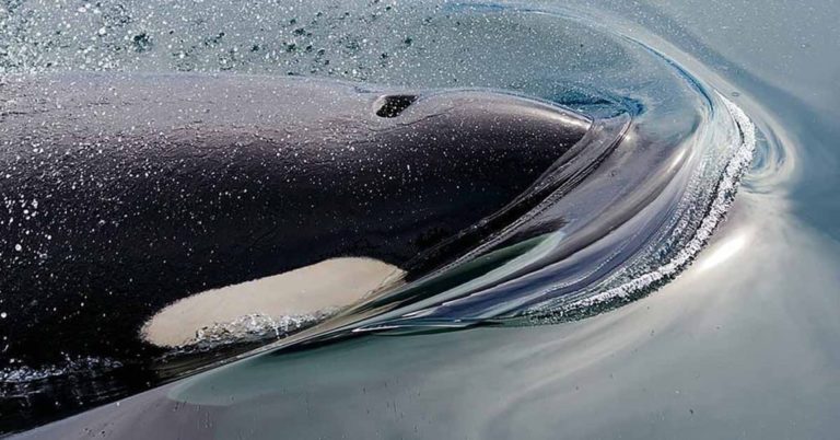 14 Science Facts That Sound Like Nonsense - Featured image